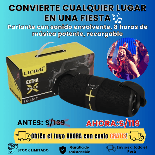 PARLANTE LIDIMI LD-S817 20W